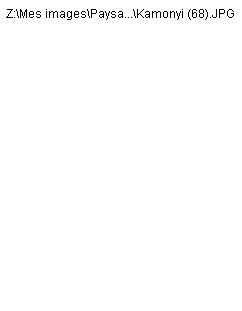 wpb2db3021_0f.jpg